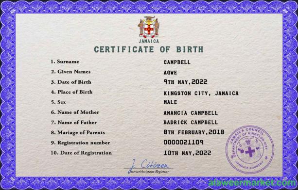 Jamaica vital record birth certificate PSD template